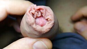 Do we like the close-ups?