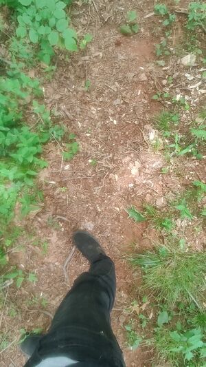 Real Outdoor Enjoyers Amateur Homemade Masturbating