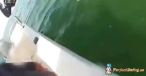 Grouper takes out a shark