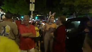 Bunny out in public