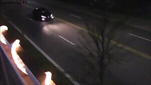 Snugglepunk and IvysRevenge