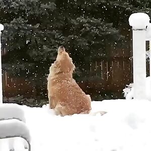 Trying to think of an excuse to wear these in front of girls I know