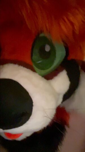 Solo Furries Furry Masturbating NSFW Tits