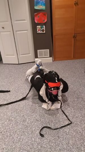 Ball Gagged hogtied