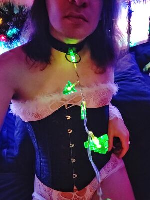 Enby Sluts Body Stockings Christmas Corset