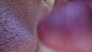 Closeup shot