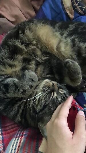 Think I’ll Fit In Here