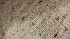 Stuffing y big hard cock in my roomate's gf's mouth.