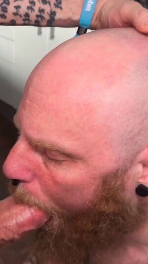 Gay DILFs Bear Cock Deepthroat