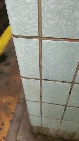 While waiting for the subway...