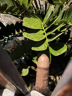 Tight Foreskin (Phimosis) Big Dick Public