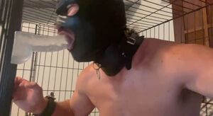 Betacuck Betaslave Blowjob Caged Cagedsissy2020