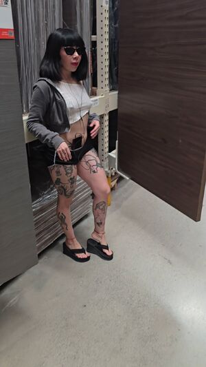 Looking for offers on real fake doors