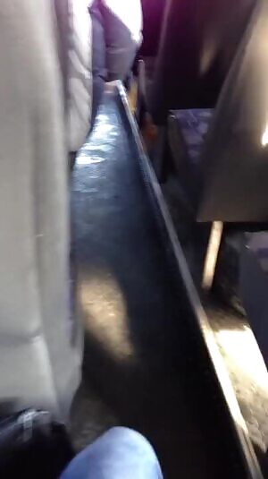 Blowjob on a bus