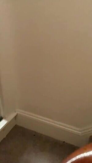 Hotwife wanted a few minutes with her bull. I heard noises so went to inspect...