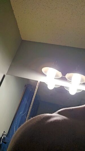 Solo Males Alpha Amateur Bareback Male
