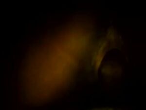 Having Late Night Fun.