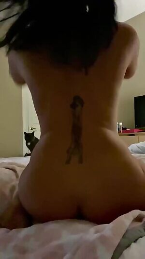 Well, i ound that twerk video i made a couple weeks ago. there’s a cat in it...🤣🐯 #joeexoticforpresident