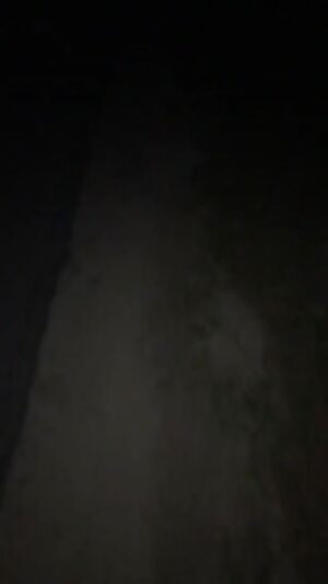 Had to go on a walk the other night