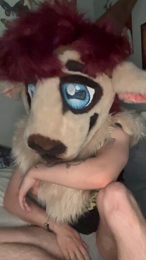 Solo Furries Big Clit Clothed FTM