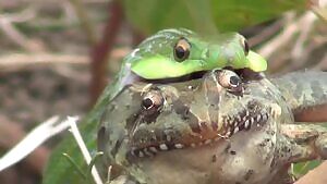 God I wish that were me.