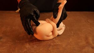 Sex Doll NSFW