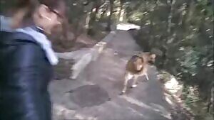 The hot woman who fucks her dog on the walk - Public Sex - POV