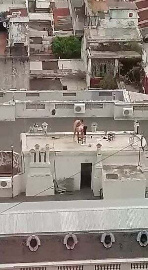 Roof Concert :p