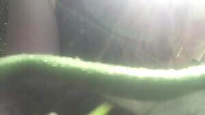 can we make monday unday a thing?