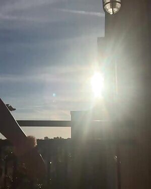 Teddy Moutinho @teddybearosito