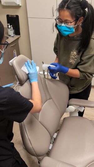 MedFet Latex Gloves Medical