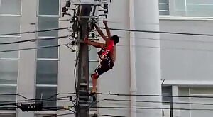 coolest monkey in the jungle