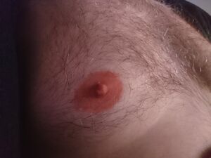 Gay Nipple Play Hairy Chest Small Nipples