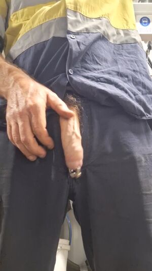 Pierced Cock Amateur Big Dick Funny