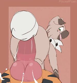 Ruff training