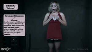Metal Bondage BDSM Caption Degrading Forced