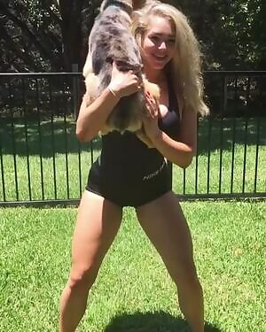 Dog workout