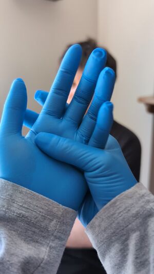 MedFet Latex Gloves Medical
