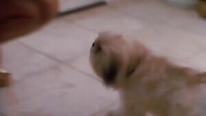 When I was 14 I was a pretty big fan of Rebecca Ferratti in 