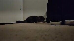 Bigger dick to suck on