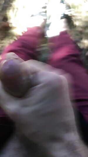 Cumming in the bush