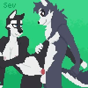 Husky sib