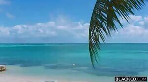 Blacked - Alyssa Reece