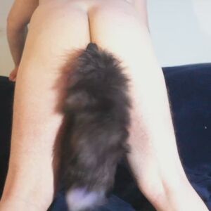 Tail Plug Amateur Anal Play Cosplay