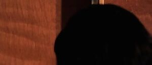 Silvia Spross- Someone's Knocking at the Door