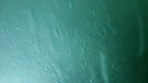 Couldn't see it coming!