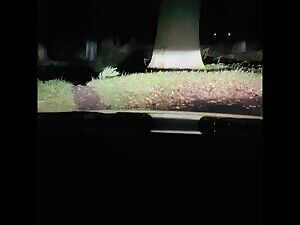 Wank in the woods 🥶 Got caught too 😏