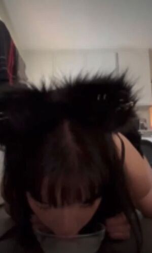 Cat Girls Catgirl Cute PetPlay r/Catgirls