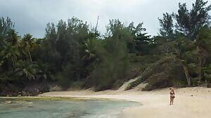 Kabby Borders - Toxic Shark