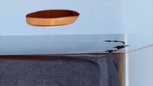Gay Glory Holes Big Dick Cock